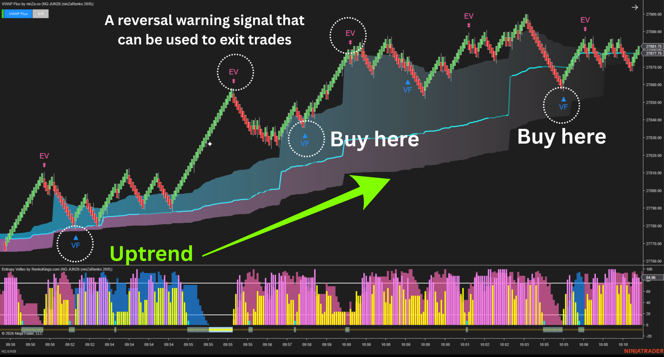 entropy voltex vwap flux