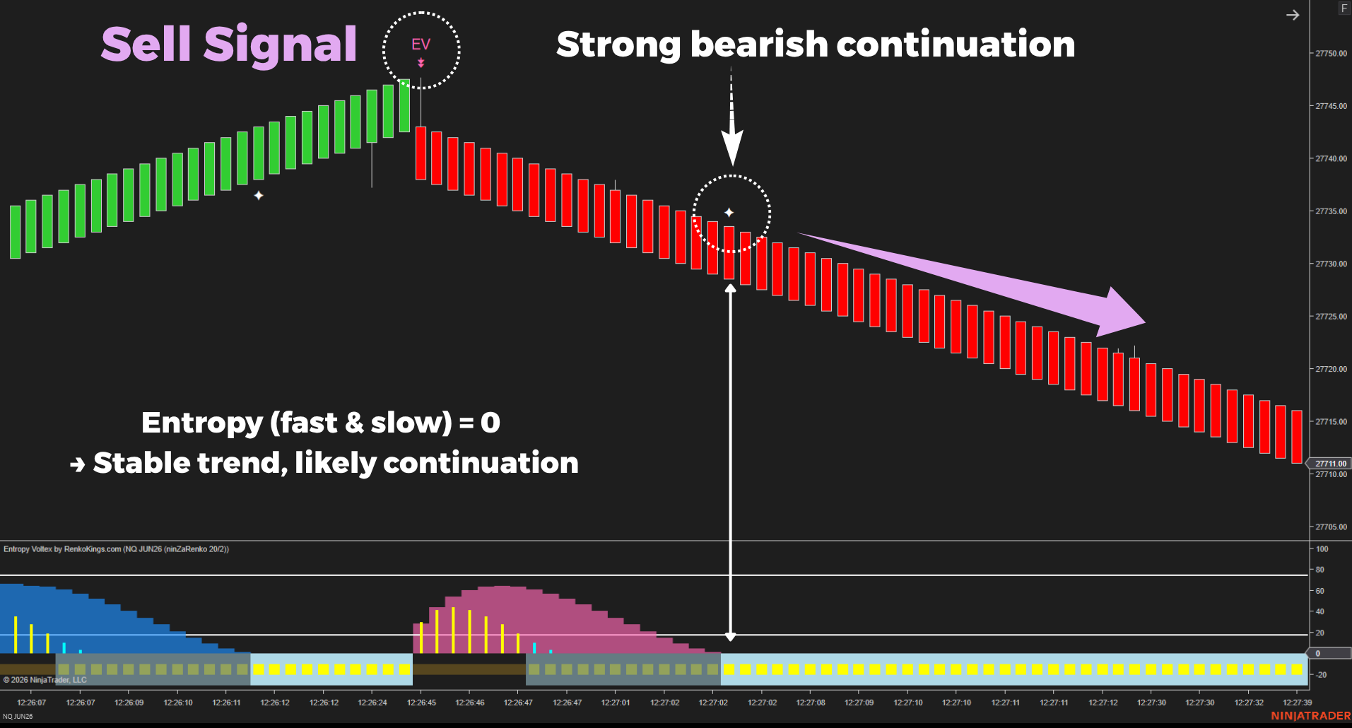 Confirmation Signal_Entropy Voltex (2)
