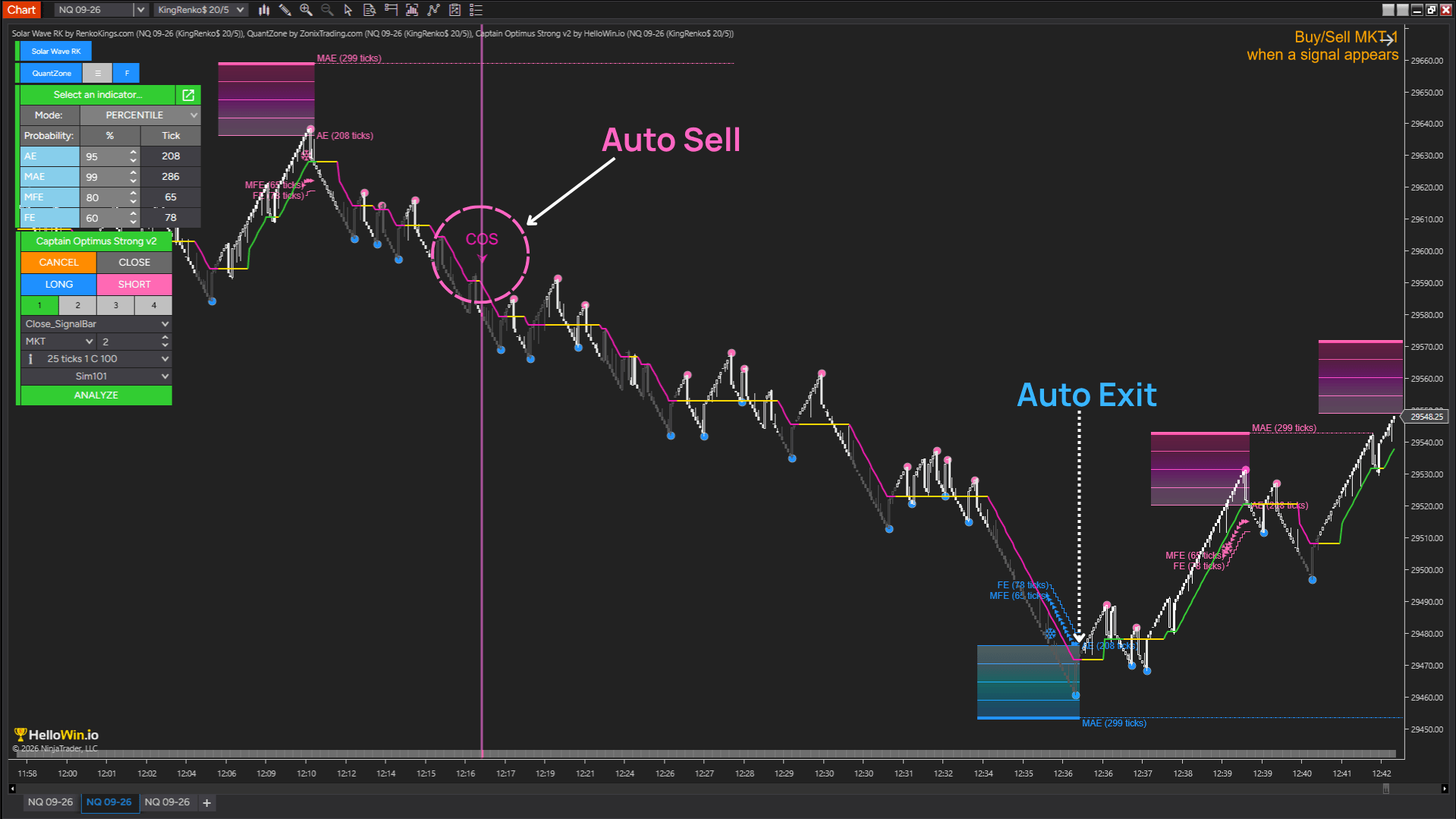 smart-dolphin-trading