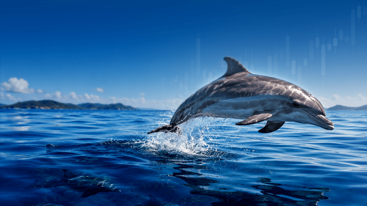 A dolphin breaking the ocean surface, representing the trend-expansion phase Smart Dolphin Trading is built to capture