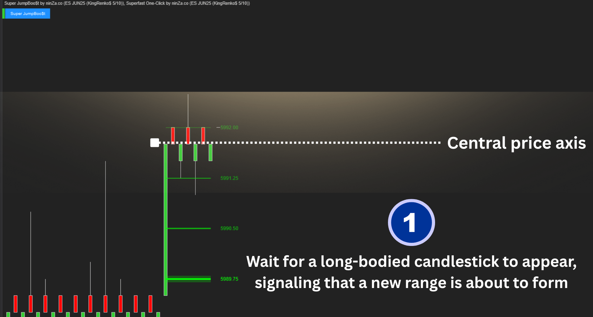 [Package] Super Kangaroo Trading Indicator for NinjaTrader 8 - RenkoKings